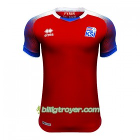 Billige Fotballdrakter Island Keeper VM 2018 Hjemmedraktsett Kortermet